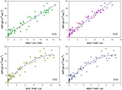 Modeling Carbon Uptake of Dryland Maize Using High Resolution Satellite Imagery